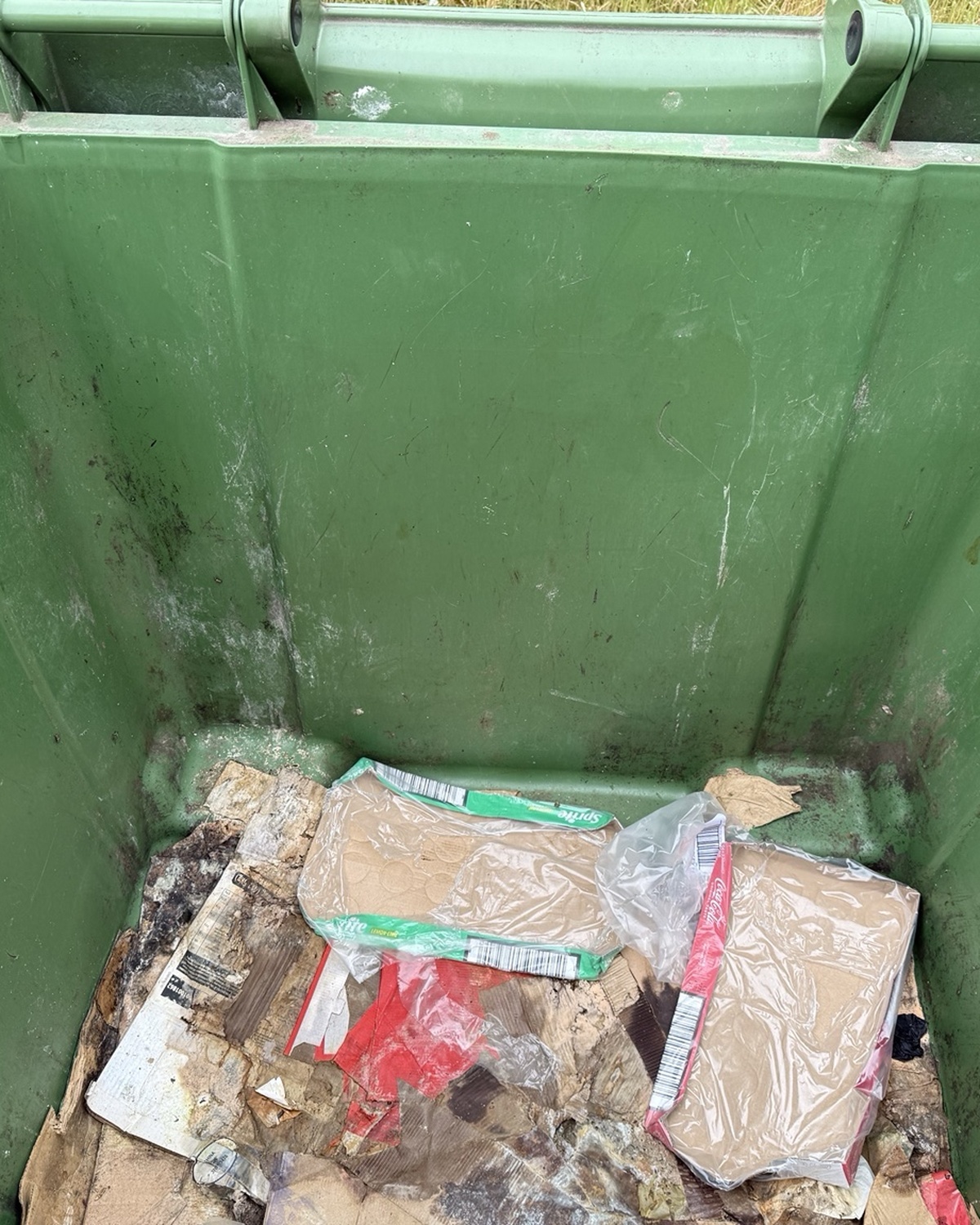 Commercial bin before cleaning